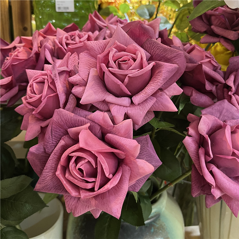 Rose chaud