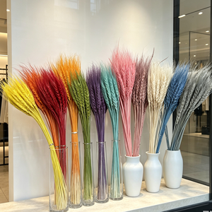 Épis de blé entièrement naturels, inspectés à la main en usine, résistants à la casse, pour arrangements floraux - Product Image 1