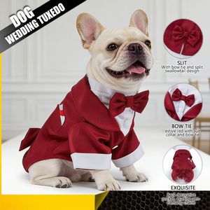 Traje de Esmoquin de Lujo Personalizado para Perro, OEM, Poliéster, con Corbata de Moño a Rayas, para Bodas, Cumpleaños, Fiestas, Disfraz Formal para Mascotas, Ropa para Perros Caballerosos - Product Image 4