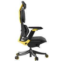 Chaise de Gaming de Luxe Ergonomique avec Accoudoirs 4D et Repose-Pieds pour Gamers