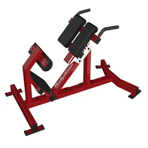commercial gym equipment 2019 New professional strength machine adjustable Back Extension Glut Ham Raise fitness gym equipment
