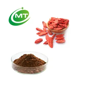 Китайский производитель, Лидер продаж, бесплатный образец, натуральный органический экстракт ягод годжи в порошке