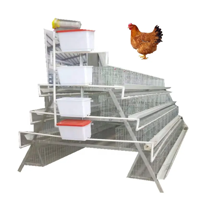 Prezzo di fabbrica gabbia per allevamento di polli gabbia per strati 96 polli allevamento di pollame gabbie per polli strato di uova custodia in legno prodotto caldo fornito 20