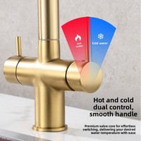 Robinet de cuisine extractible en laiton, mitigeur eau chaude et froide pour évier de légumes, rotation à 360°, purificateur 3-en-1, monotrou