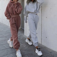 2025 ODM personnalisé femmes hiver Streetwear ensembles tissu éponge pantalons de survêtement et sweat à capuche fabricants-survêtements pour femmes