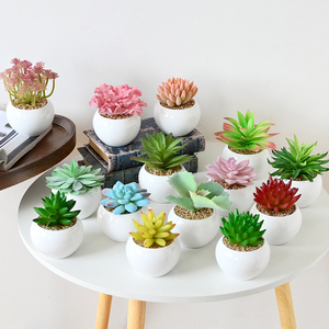 Bonsái Suculento de Cerámica Ecológico de Alta Simulación, Adornos Decorativos para el Hogar, Plantas Artificiales de Jinhua, <span class=keywords><strong>AliExpress</strong></span> - Product Image 3