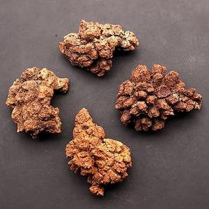 Décoration en pierre de caca de dinosaure réaliste en gros, pierres naturelles de guérison cristalline pour une décoration intérieure unique et des cadeaux de vacances - Product Image 3