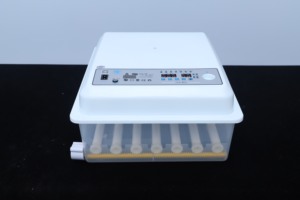 Nueva Incubadora de Huevos <span class=keywords><strong>Mini</strong></span> para 48/<span class=keywords><strong>56</strong></span>/64 Huevos de Gallina, Material Plástico PP, para Incubación de Patos, Codornices y Pavos, Precio en Nepal - Product Image 2