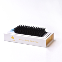 LashPlus Fournisseur 0.02 0.03 Boîte à cils en papier cachemire noir mat Plateaux à cils de marque privée Plateaux d'extension de cils en soie de cachemire