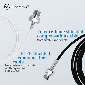 مستشعر درجة الحرارة CWDZ00 <span class=keywords><strong>PT100</strong></span> ذو مقاومة البلاتين عالية الدقة، جهاز إرسال درجة الحرارة OEM ODM، مقاوم للماء IP68، سطح من الفولاذ المقاوم للصدأ - Product Image 2