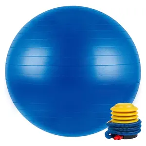 Chaise boule de Yoga Extra épaisse, pour thérapie physique, pompe rapide, vente en gros, usine