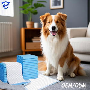 Almohadilla desechable extra para orinar cachorro 22x22 60x60cm protección de entrenamiento en el hogar eliminación de olores a prueba de fugas cuidado de mascotas 100 Uds en venta - Product Image 1