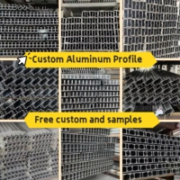 Profils de fenêtres en aluminium de la série 6000 de style personnalisé