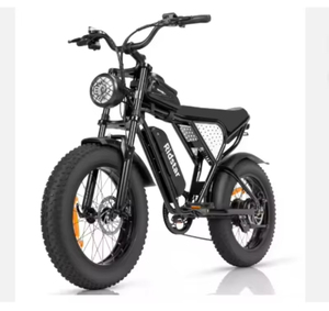 Vélo électrique à double vitesse haute efficacité 1000W 48V Haute capacité 50 75 Miles Déplacement urbain - Product Image 5