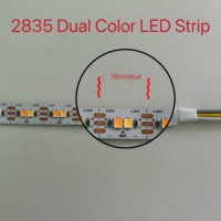 Bande lumineuse LED 2835 CCT dimmable 128 LED 24V IP20 à faible consommation d'énergie et haute luminosité 5m 10m
