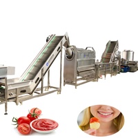 Ligne de production automatique de sauce tomate et de ketchup au prix d'usine, machine de fabrication de purée de tomate pour confiture et ketchup