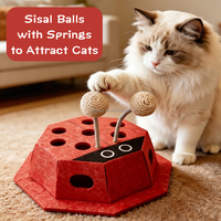Jouet d'enrichissement interactif pour chat en forme de coccinelle, résistant aux griffures, en feutre, avec 2 balles
