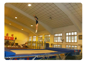 Precio barato trampolín de salto gimnástico para adultos y niños Oly trampolín de competición cama de salto de fitness para la venta - Product Image 5