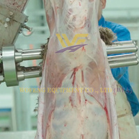 Equipo de matanza de ovejas Máquina de ocultación para matadero de cabras u ovejas