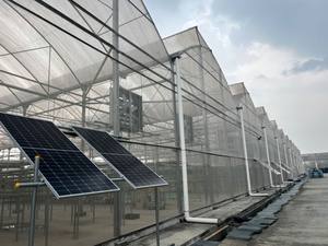 Ventilador Axial Industrial Gigante de Energía Solar, Montado en Pared, Aspas de Aluminio de 48 Pulgadas, Motor de CC sin Escobillas de 36V, para Granjas Avícolas - Product Image 4