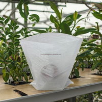 Sac d'ensemencement en PLA plat mélangé de fibres de maïs personnalisées sac biodégradable pour l'ensemencement de pépinière et la plantation en serre