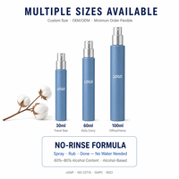 Spray désinfectant pour les mains sans eau, écologique, 75 % d'alcool, parfum personnalisé, séchage rapide, portable, marque privée, OEM, ODM, usine, 2 ans