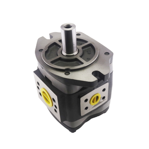 Pompe hydraulique à débit variable IPVP5-32/40/50/64-101, pompe hydraulique à grand débit, pompe à engrenages interne IPVP-5-40-101 IPVP6-125-101 - Product Image 3