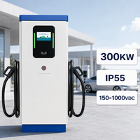 Chargeur EV approuvé TUV, station de charge rapide DC 300 kW, extérieur, commercial, double pistolet, conforme RoHS, étanche IP55, WrightCharge