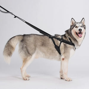 Arnés de Invierno para Perros, Arnés de Trineo para Huskies, para Ejercicio, Trineo, Carrera, Canicross, Scootering, para Perros Medianos - Product Image 1
