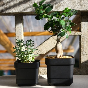 bulk black gardening potted plants flower square bonsai pots plastic pot