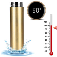 Gourde intelligente numérique en acier inoxydable avec Led, contenant isolé sous vide, thermos, affichage de la température, de 15 ml