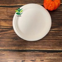 Vente en gros 100% assiettes jetables compostables biodégradables bagasse canne à sucre 9 pouces de pâte à papier de canne à sucre plat de fête de qualité alimentaire