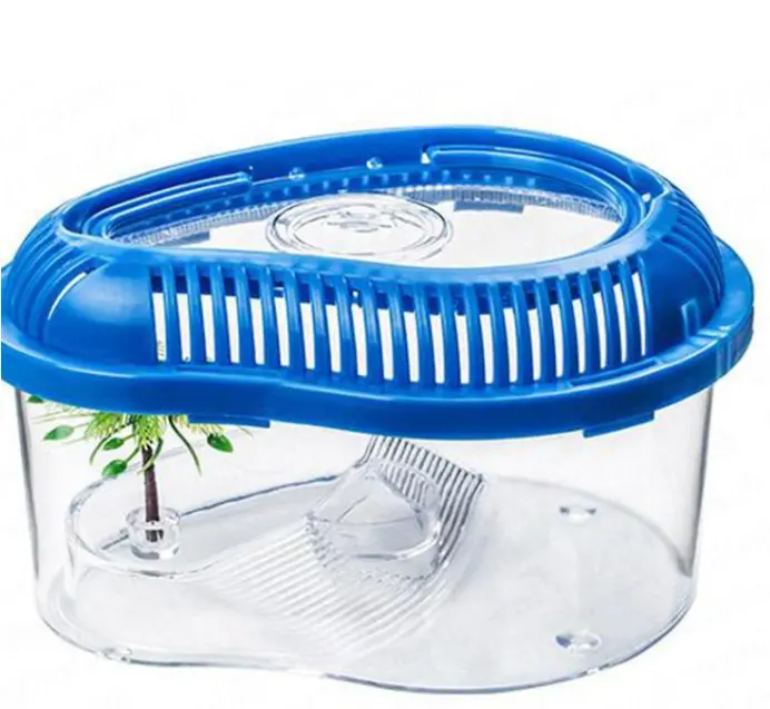 Mini aquarium en plastique pour animaux de compagnie, petit réservoir pour élevage de tortues et autres reptiles
