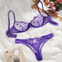 Ensemble de Lingerie Sexy à Broderie Florale pour Femme, Parure Délicate en Dentelle 2 Pièces