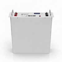 Module de batterie LiFePO4 de haute qualité 51,2 V avec 32 cellules, indice de protection IP20, 6000 cycles pour système de stockage d'énergie solaire