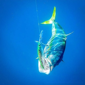 <span class=keywords><strong>Rapala</strong></span> al por mayor para señuelos de pesca de arrastre importados XRMAG Deep Sea Ranger Wide Mouth Diving Minnow UV Color Hard Bait Bionic - Product Image 6