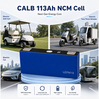Cellule de batterie CALB 3.7V 113Ah NCM 420Wh, charge rapide, en stock, prête à être expédiée, 2000 cycles, livraison rapide
