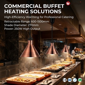 Lámpara de Calentamiento Infrarroja para Buffet, de Acero Inoxidable, Diseño Colorido, para Hoteles, Restaurantes y Servicios de Catering, Venta al Por Mayor, Alta Calidad - Product Image 1