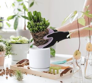 <span class=keywords><strong>Maceta</strong></span> de cerámica blanca para interiores de 6 pulgadas para plantas con orificio de drenaje y platillo <span class=keywords><strong>maceta</strong></span> de cerámica con bandejas para plantas - Product Image 4