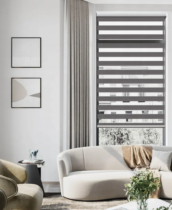 Classic Zebra Blinds Dual Roller Shades Window Curtain Light Filtering Two Layers Fabric Model TC67 Customize Size