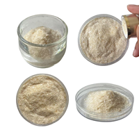 Polysaccharide de Tremella Fuciformis de qualité alimentaire, additif épaississant et stabilisant pour la production de boissons, produits laitiers et boissons froides
