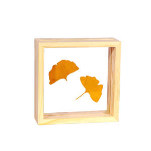 Solid Wood Acrylic Specimen Photo <b>Frame</b> Double-Sided Transparent Rectangular Tabletop Display <b>Frame</b> For DIY 3D Art - Product Image 5