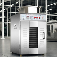 IRISLEE 220V Elektrische Gecertificeerde Fruit- en Groentebestrijkmachine Industriële Voedselverwerkingsdroger 12 Bakken 5kW 3-Jaar Garantie