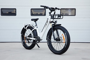 <span class=keywords><strong>Oferta</strong></span> Especial 48V Fat tire City <span class=keywords><strong>ebike</strong></span> 14ah 26 pulgadas Kenda Fat tire electrica bicicleta 750W step through electric City bike - Product Image 4