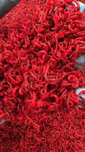 Venda Direta Da Fábrica Bloodworms Congelados Premium Alimento Seco para Animais Aquáticos - Product Image 5