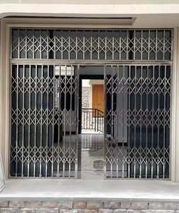 Puerta Corredera de Diseño Moderno, Acero Inoxidable, Estilo Simple, Antirrobo - Product Image 6