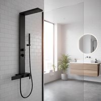 Panneau de douche mural en acier inoxydable noir avec étagères, nouveau modèle Vaguel Taizhou