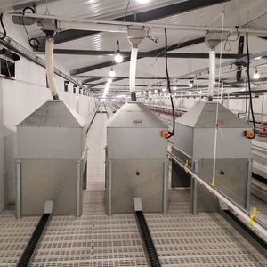 Système d'alimentation automatique en chaîne pour élevage de poulets reproducteurs, équipement d'élevage de volailles, mangeoire en chaîne - Product Image 5