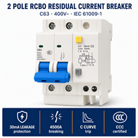 Interruptor Diferencial RCBO Wanbo-320 63 2P C63 30mA, Protección Contra Fugas, Sobrecarga y Cortocircuito