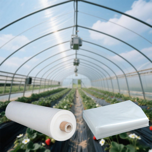 200 microns Anti-âge Diffusion PE serre Film <span class=keywords><strong>tomate</strong></span> Commercial jardin Agriculture couverture <span class=keywords><strong>en</strong></span> plastique - Product Image 1